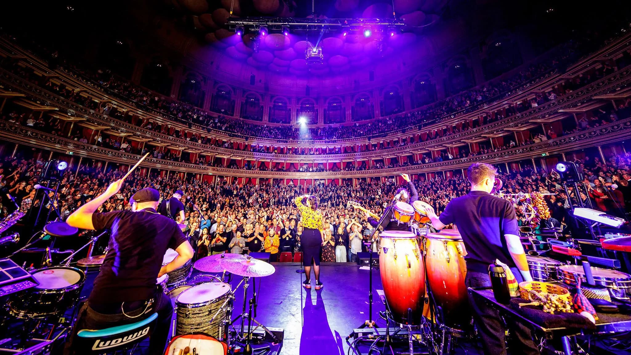 portfolio-concerts46.webp
